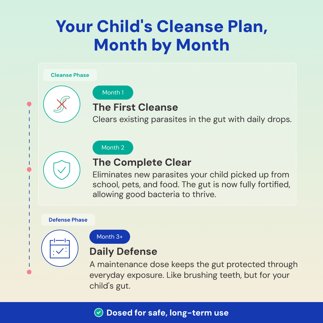 Velvra Complete Cleanse Kit