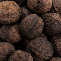 Black Walnut Hull